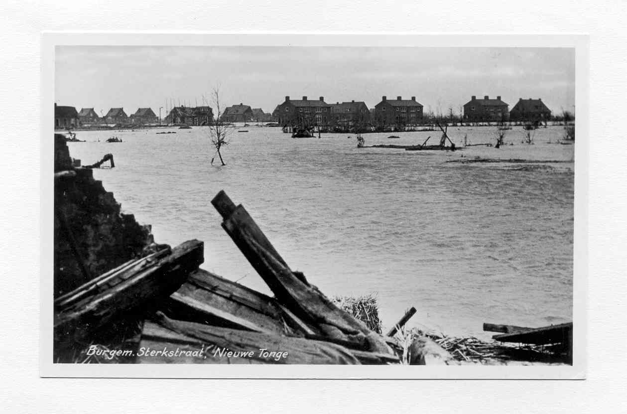 uitgelichte_afbeelding