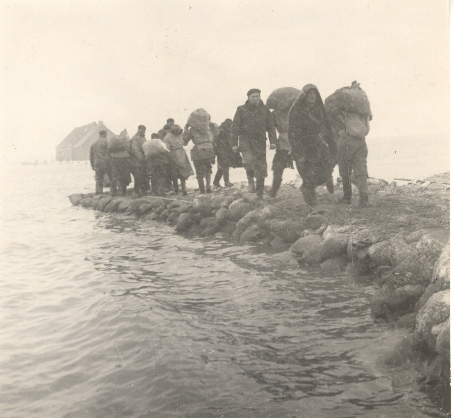 uitgelichte_afbeelding